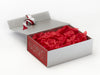 Red Tissue Paper Featured with Silver Gift Box and Red Snowflake FAB Sides®