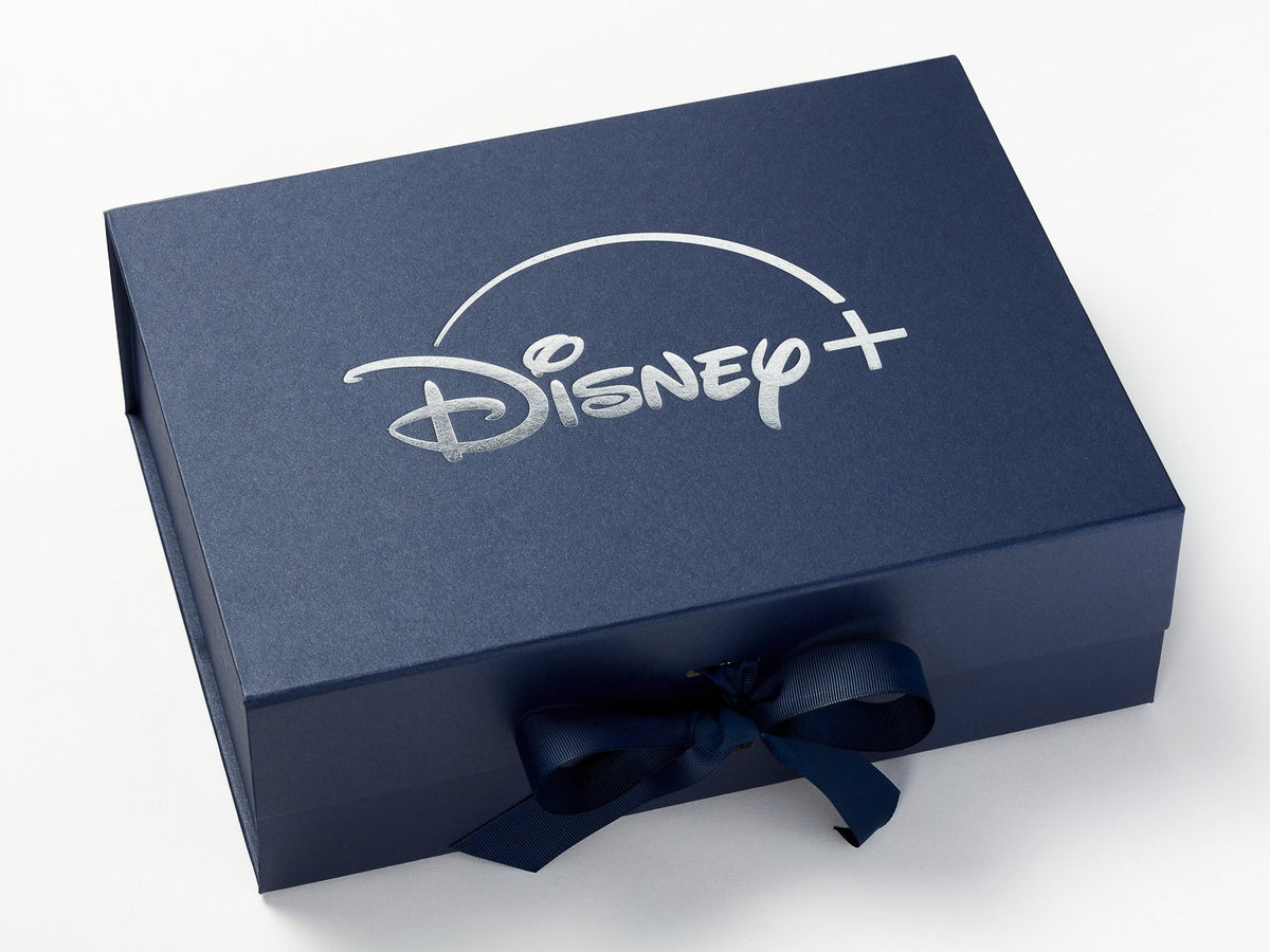 Silver Boxes: 10 Disney Scrapbook Layouts!